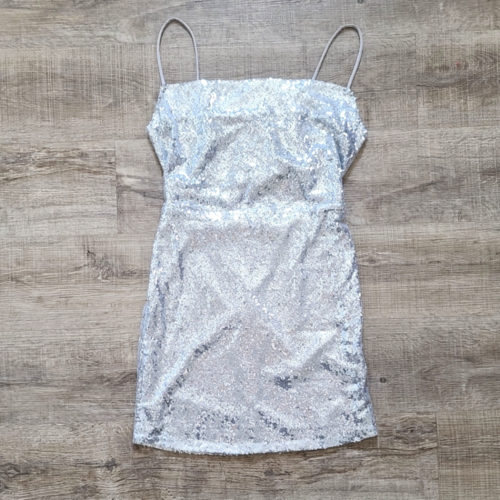 Birch & Stone Silver Sequin Dress